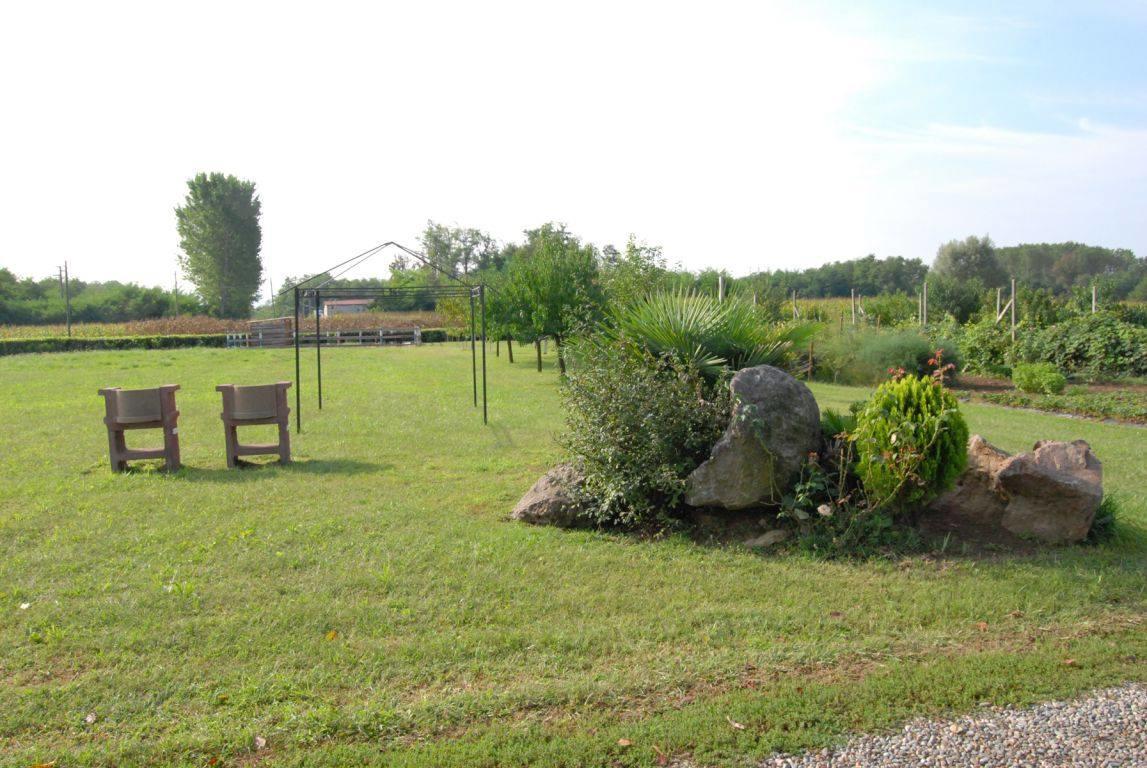 Agriturismo La Biandrina Carpignano Sesia Kültér fotó