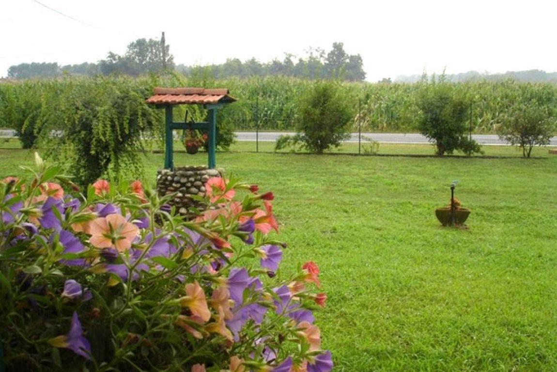 Agriturismo La Biandrina Carpignano Sesia Kültér fotó