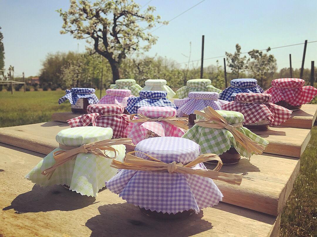 Agriturismo La Biandrina Carpignano Sesia Kültér fotó